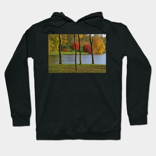 Autumn Splendour Hoodie by RedHillDigital